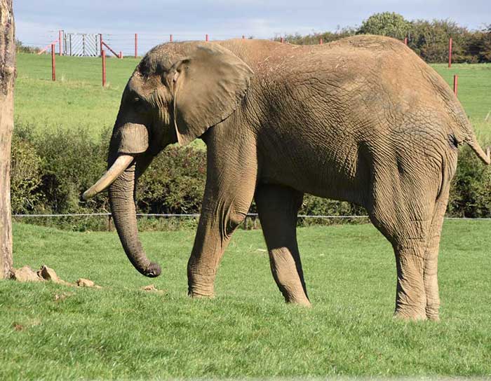 Flexible Cheques | Vacant | Viewable